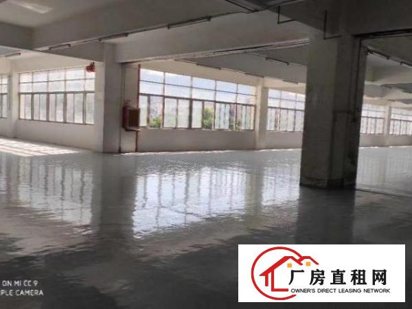  布吉百鸽笼地铁口电商园招租，100到2000平都有，租金32