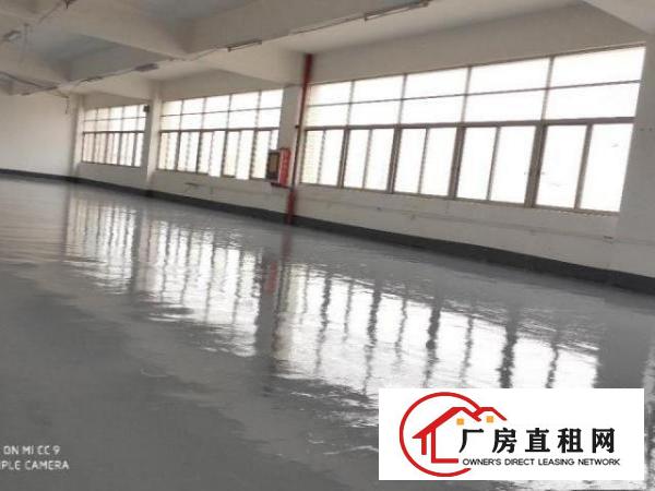  布吉百鸽笼地铁口电商园招租，100到2000平都有，租金32