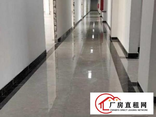  布吉百鸽笼地铁口电商园招租，100到2000平都有，租金32