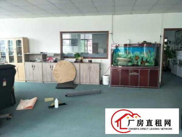  长安新民大工业区新出三楼带装修500平起厂房招租