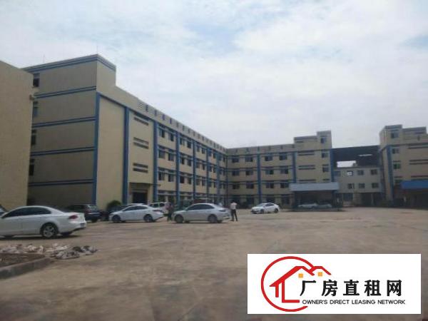  长安新民大工业区新出三楼带装修500平起厂房招租