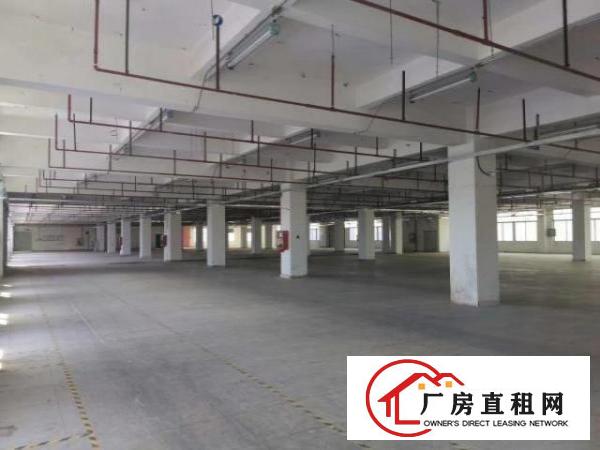  大芬地铁站旁每层1500平方大小分租