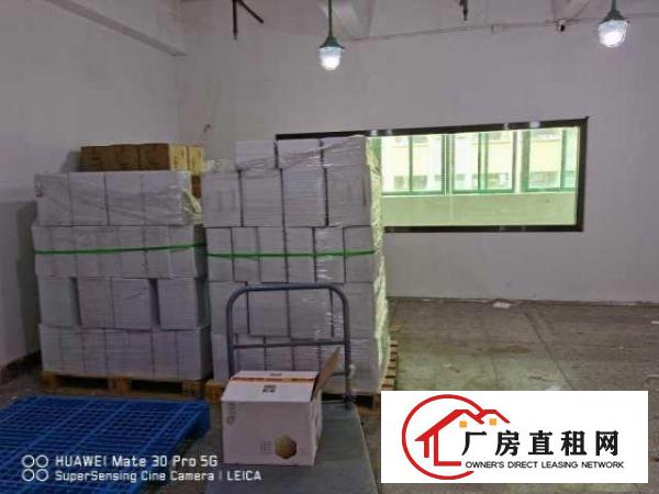  出租布吉康桥办公室写字楼电商外贸仓库