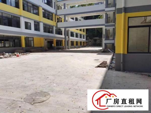  荔枝花园中心地段招租写字楼，商业旺铺，5000平大小面积分