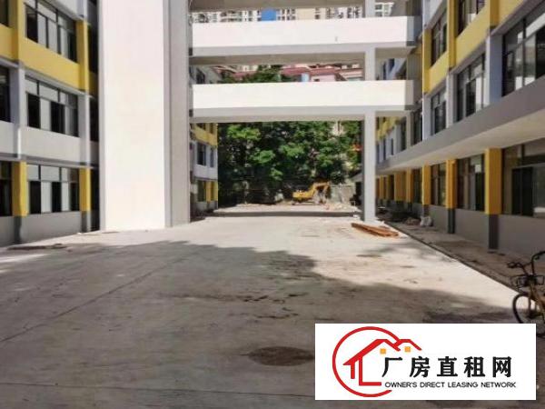  荔枝花园中心地段招租写字楼，商业旺铺，5000平大小面积分