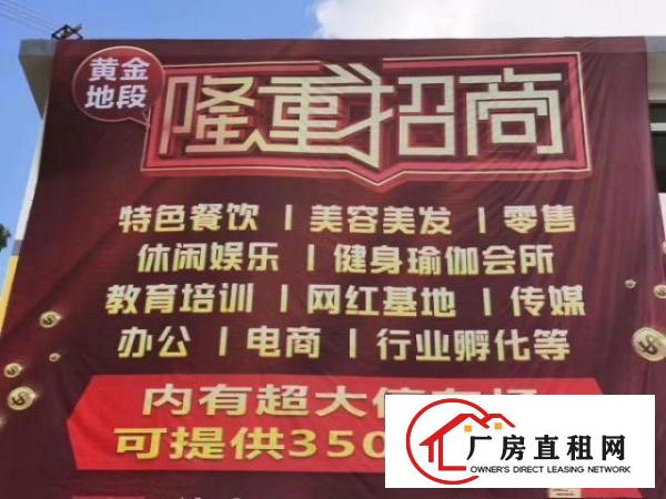  荔枝花园中心地段招租写字楼，商业旺铺，5000平大小面积分