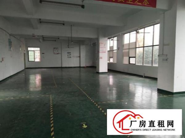  丹竹头厂房450平，租金10500元一押一付，可租半年
