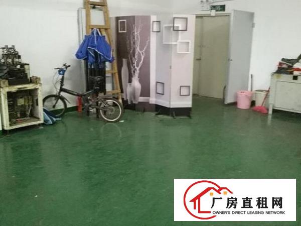  三相电40kw到位，整个区域墙面干净，三楼两个货梯