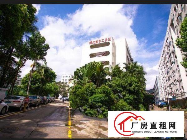  出租下水径地铁口湖北宝丰工业区厂房