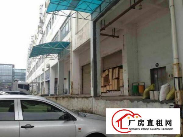  布吉丹竹头带卸货平台一楼1000平厂房出租