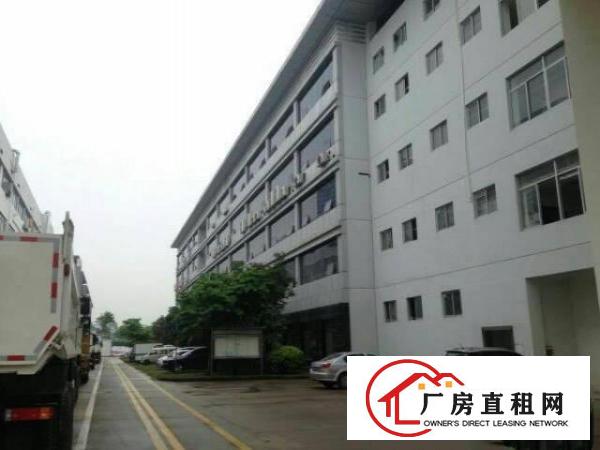 布吉丹竹头带卸货平台一楼1000平厂房出租
