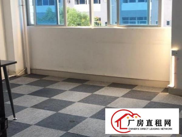  出租布吉康桥精装修230平厂房办公室