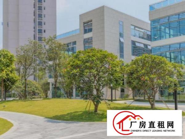  出租布吉康桥精装修230平厂房办公室