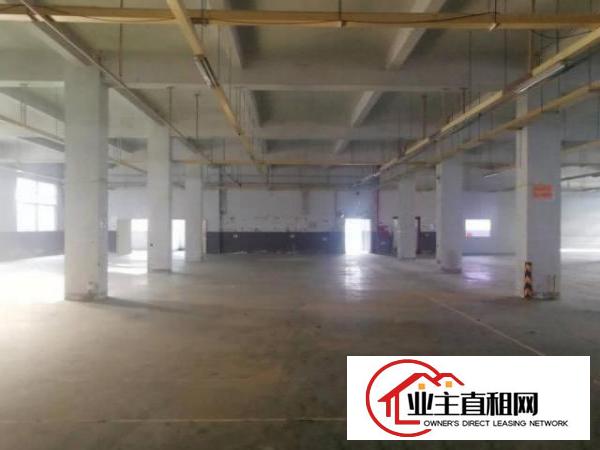  布吉大芬一楼1600平，可以分租，空地大，不限行业