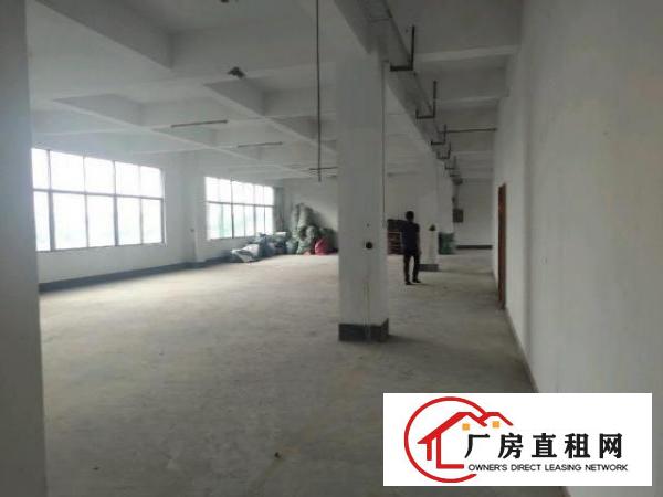  丹竹头原房东3000平1000平600平和700平出租
