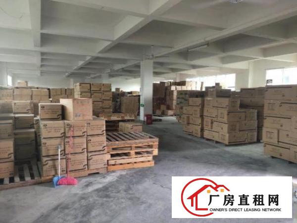  丹竹头原房东3000平1000平600平和700平出租