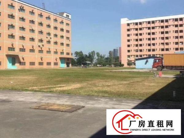  布吉康桥1000平厂房出租，物流配送，画框加工等