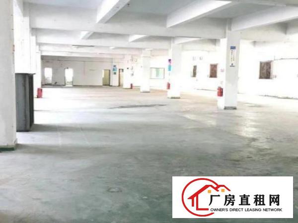  布吉康桥1000平厂房出租，物流配送，画框加工等
