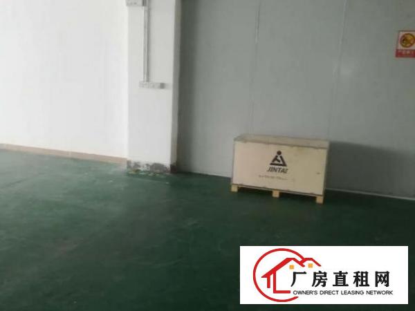  布吉秀峰工业城A5栋东130平米，超低价！房东急租！