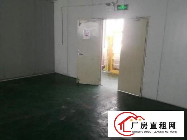  布吉秀峰工业城A5栋东130平米，超低价！房东急租！