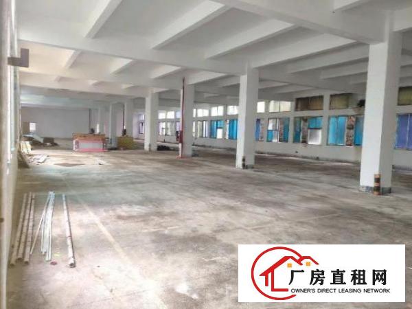  布吉南岭带装修300平500平至10000平分租网红直播基地