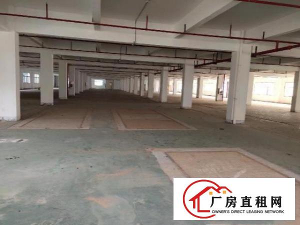  布吉南岭带装修300平500平至10000平分租网红直播基地