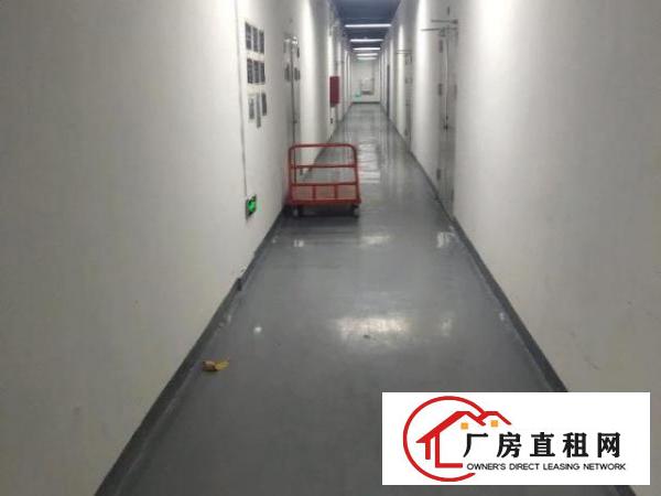  布吉上李朗带装修厂房300平500平至3000平大小分租