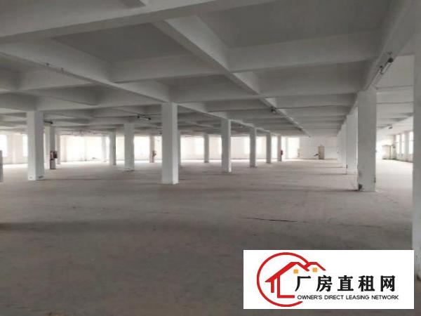  布吉上李朗带装修厂房300平500平至3000平大小分租