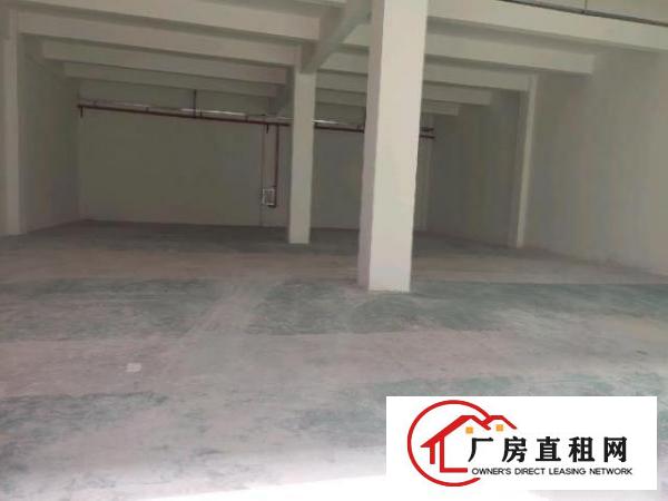  布吉上李朗带装修厂房300平500平至3000平大小分租