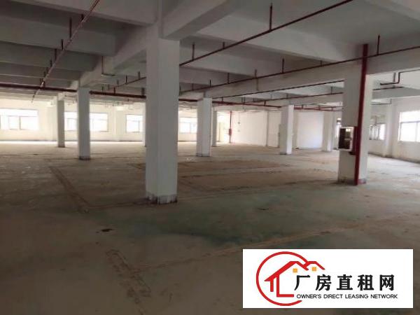  布吉上李朗带装修厂房300平500平至3000平大小分租
