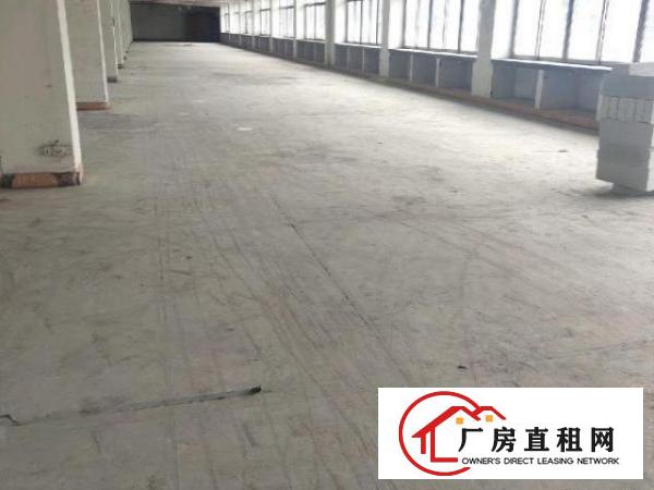  布吉大芬130平米起大小分租电商贸易仓库画框等等