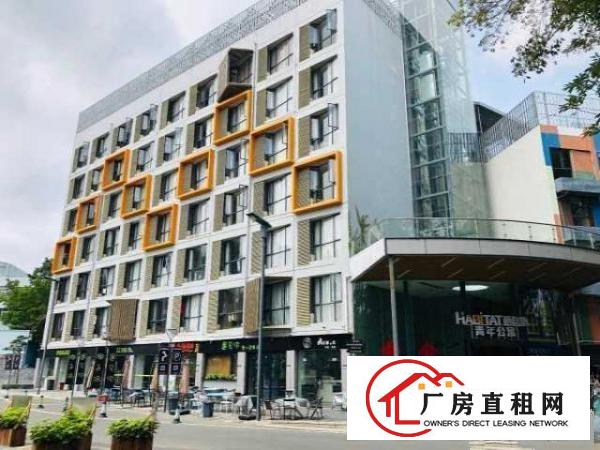  木棉湾丨256平2十1格局双面采光丨带家私租期灵活