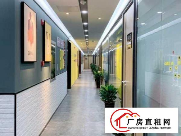  （申请场租补贴）龙岗布吉100平办公室1十1格局家私，送红本