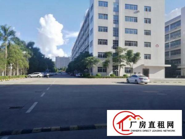  布吉李朗楼上500平带装修厂房出租，无转让费