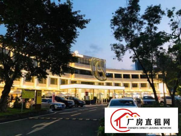  木棉湾创客空间，中小户型1 1格局，光线通透，租期灵活