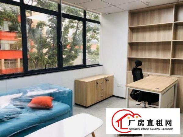  木棉湾创客空间，中小户型1 1格局，光线通透，租期灵活