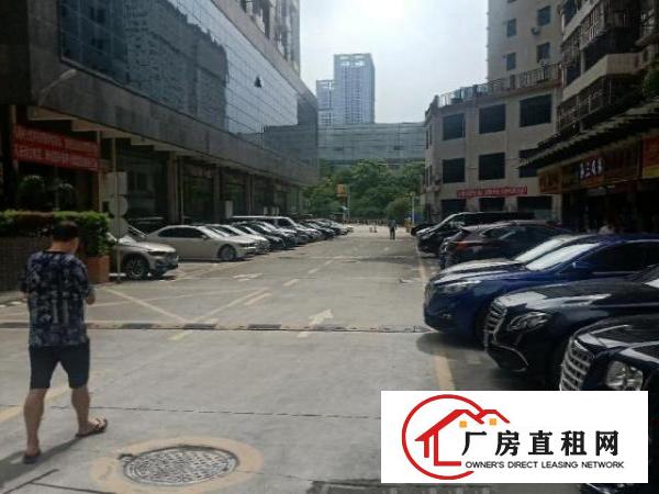  布吉上李朗平吉大道旁老圩大厦