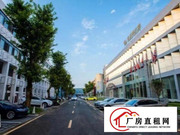  65平布吉办公室出租 送红本 费用全包丨含网络可短租