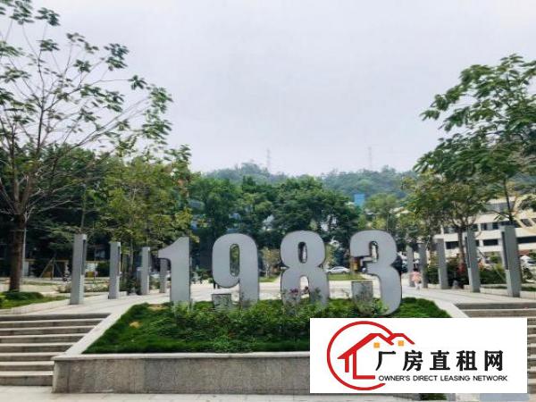  65平布吉办公室出租 送红本 费用全包丨含网络可短租