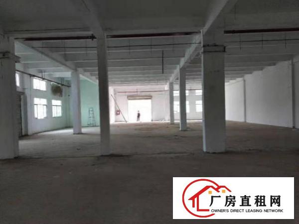  横岗六约一楼500平仓库出租，交通方便空地大