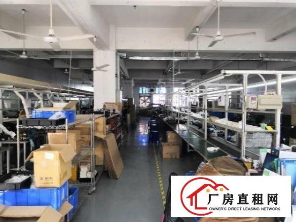 布吉南岭独院厂房1000平方一层共四层大小分