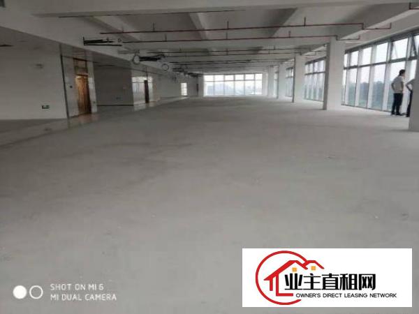  布吉李朗原房东1万平方整栋出租可分租或整租有红本带消防喷淋
