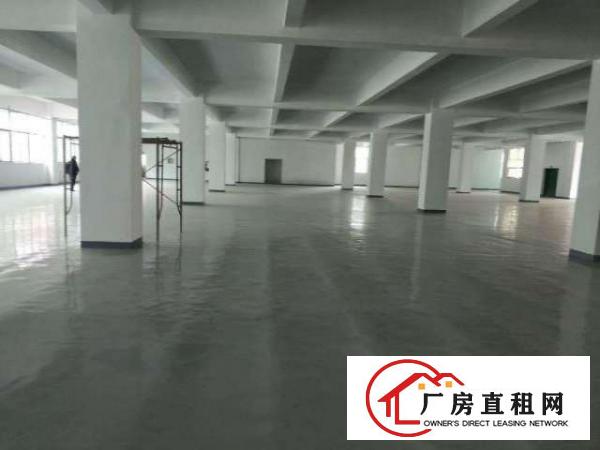  布吉丹竹头2楼2000平方厂房出租，形象好空地大带卸货平台