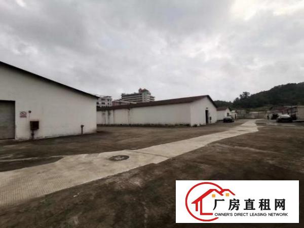  丹竹头一楼300-1000平仓库招租