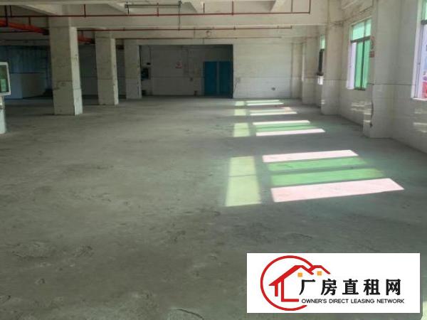 布吉龙岗大道旁恒昊华物流园2楼1500平米，大小面积可分