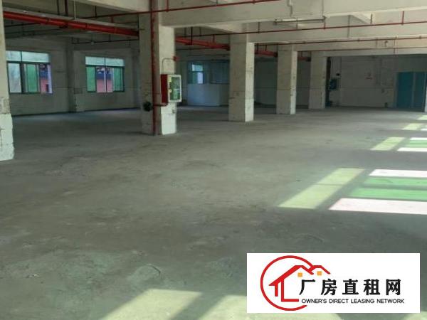  布吉龙岗大道旁恒昊华物流园2楼1500平米，大小面积可分