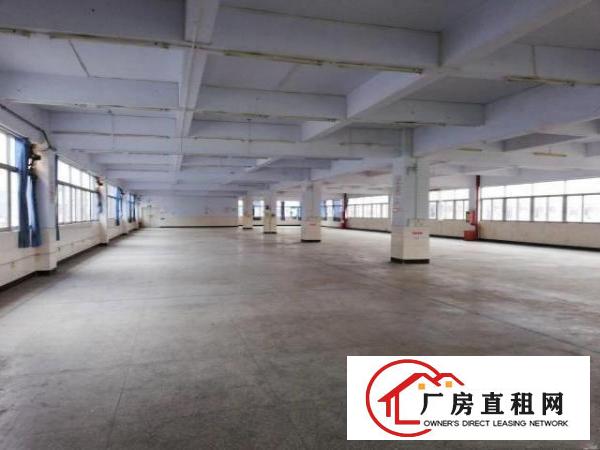  布吉丹竹头地铁口彩光工业区280-540-1850平加工仓库