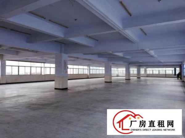  布吉丹竹头地铁口彩光工业区280-540-1850平加工仓库