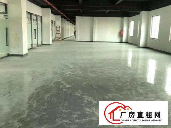  布吉丹竹头丹竹头160280360500680等出租