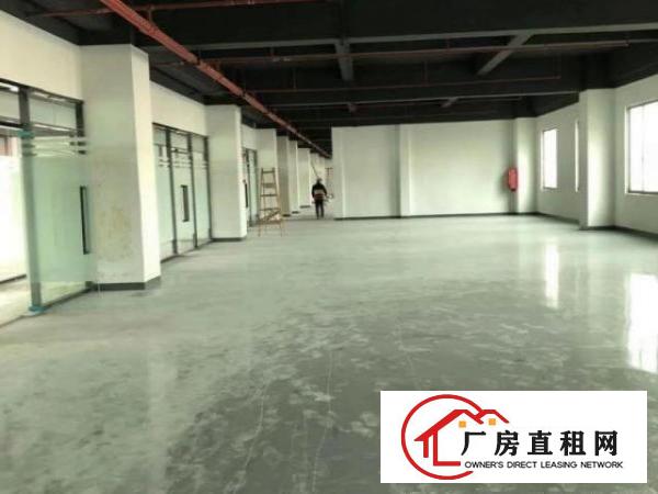  布吉丹竹头丹竹头160280360500680等出租